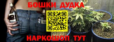 эйфоретик Аргун